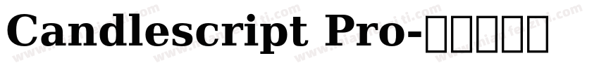 Candlescript Pro字体转换